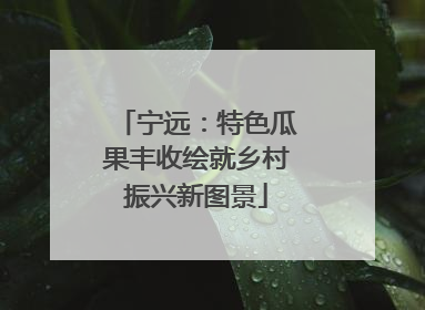 宁远：特色瓜果丰收绘就乡村振兴新图景