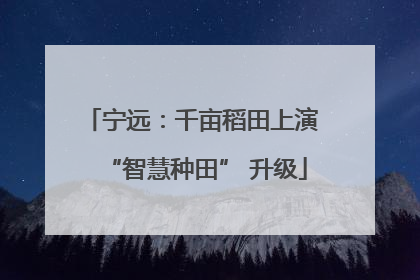 宁远：千亩稻田上演 “智慧种田” 升级