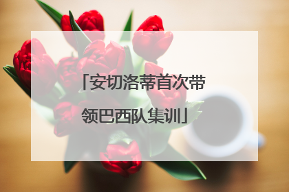 安切洛蒂首次带领巴西队集训