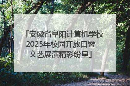 安徽省阜阳计算机学校2025年校园开放日暨文艺展演精彩纷呈