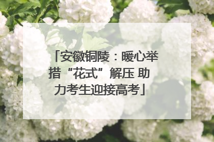 安徽铜陵：暖心举措“花式”解压 助力考生迎接高考