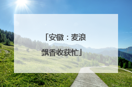 安徽：麦浪飘香收获忙