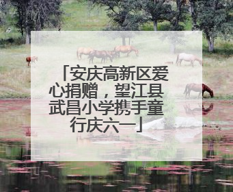 安庆高新区爱心捐赠，望江县武昌小学携手童行庆六一