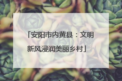 安阳市内黄县：文明新风浸润美丽乡村