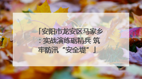 安阳市龙安区马家乡：实战演练砺精兵 筑牢防汛“安全堤”