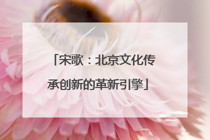 宋歌：北京文化传承创新的革新引擎