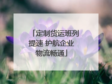 定制货运班列提速 护航企业物流畅通