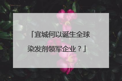 宜城何以诞生全球染发剂领军企业？