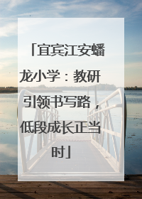 宜宾江安蟠龙小学：教研引领书写路，低段成长正当时