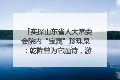 实探山东省人大常委会院内“宝藏”珍珠泉：乾隆曾为它题诗，游客无需预约免费游览