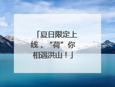 夏日限定上线，“荷”你相遇洪山！