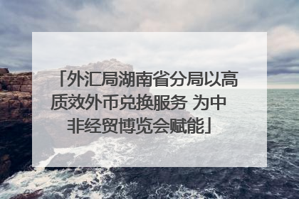 外汇局湖南省分局以高质效外币兑换服务 为中非经贸博览会赋能