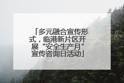 多元融合宣传形式，临港新片区开展“安全生产月”宣传咨询日活动