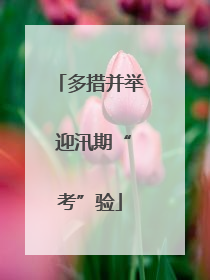 多措并举 迎汛期“考”验