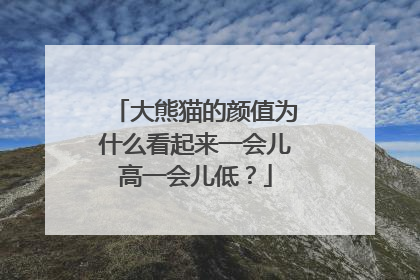 大熊猫的颜值为什么看起来一会儿高一会儿低？