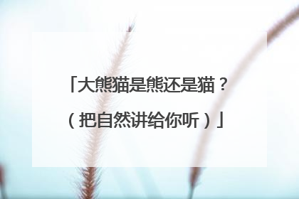 大熊猫是熊还是猫？（把自然讲给你听）