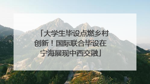 大学生毕设点燃乡村创新！国际联合毕设在宁海展现中西交融