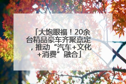 大饱眼福！20余台精品豪车齐聚嘉定，推动“汽车+文化+消费”融合