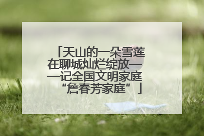 天山的一朵雪莲在聊城灿烂绽放——记全国文明家庭“詹春芳家庭”