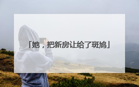 她，把新房让给了斑鸠