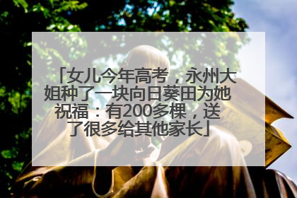 女儿今年高考，永州大姐种了一块向日葵田为她祝福：有200多棵，送了很多给其他家长