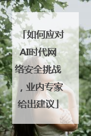 如何应对AI时代网络安全挑战，业内专家给出建议