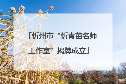 忻州市“忻青苗名师工作室”揭牌成立