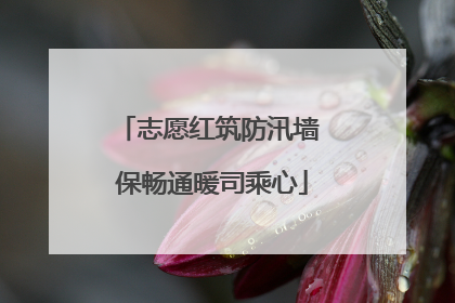 志愿红筑防汛墙 保畅通暖司乘心