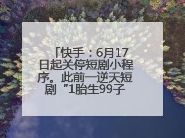 快手：6月17日起关停短剧小程序。此前一逆天短剧“1胎生99子”被全网下架
