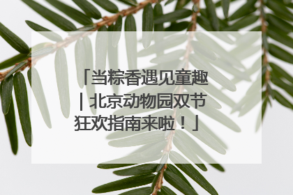 当粽香遇见童趣｜北京动物园双节狂欢指南来啦！
