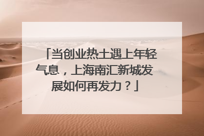 当创业热土遇上年轻气息，上海南汇新城发展如何再发力？