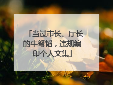 当过市长、厅长的牛弩韬，违规编印个人文集