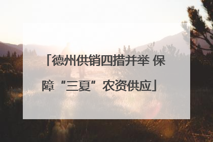 德州供销四措并举 保障“三夏”农资供应