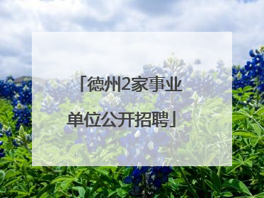 德州2家事业单位公开招聘