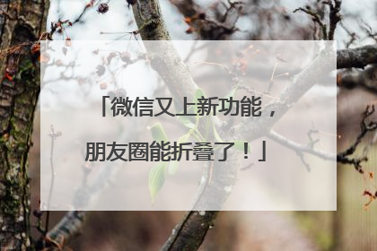 微信又上新功能，朋友圈能折叠了！