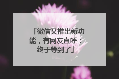 微信又推出新功能，有网友直呼：终于等到了