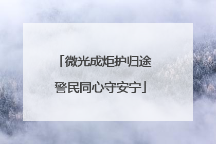 微光成炬护归途 警民同心守安宁