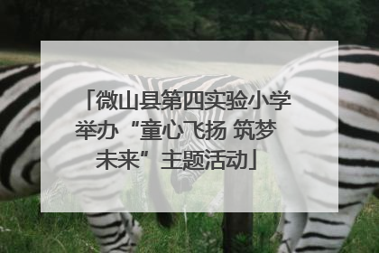 微山县第四实验小学举办“童心飞扬 筑梦未来”主题活动
