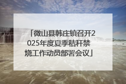 微山县韩庄镇召开2025年度夏季秸秆禁烧工作动员部署会议
