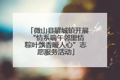微山县驩城镇开展“情系端午邻里情 粽叶飘香暖人心”志愿服务活动