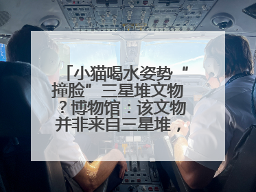 小猫喝水姿势“撞脸”三星堆文物？博物馆：该文物并非来自三星堆，有可能是它