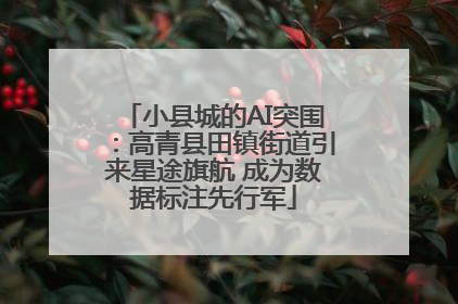 小县城的AI突围：高青县田镇街道引来星途旗航 成为数据标注先行军
