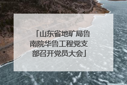山东省地矿局鲁南院华鲁工程党支部召开党员大会
