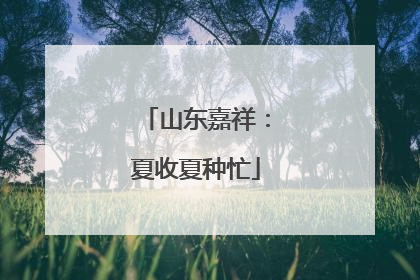 山东嘉祥：夏收夏种忙