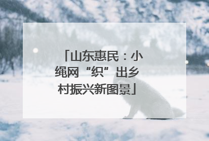 山东惠民：小绳网“织”出乡村振兴新图景
