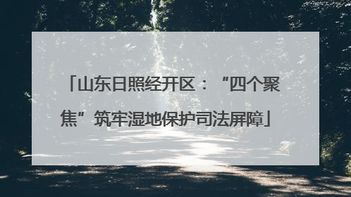 山东日照经开区：“四个聚焦”筑牢湿地保护司法屏障
