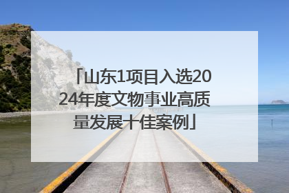 山东1项目入选2024年度文物事业高质量发展十佳案例