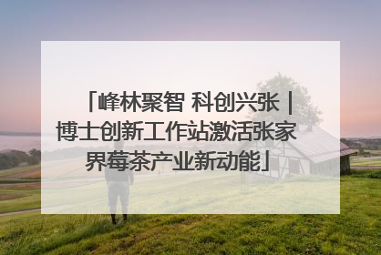峰林聚智 科创兴张｜博士创新工作站激活张家界莓茶产业新动能