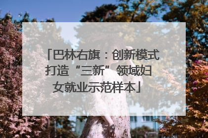 巴林右旗：创新模式 打造“三新”领域妇女就业示范样本
