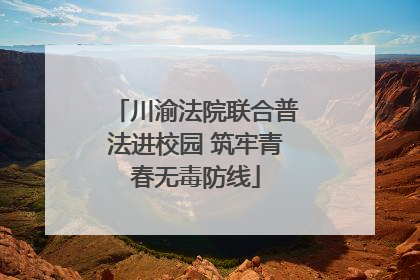 川渝法院联合普法进校园 筑牢青春无毒防线